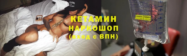 прущие грибы Наволоки