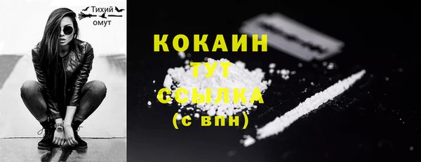 прущие грибы Наволоки
