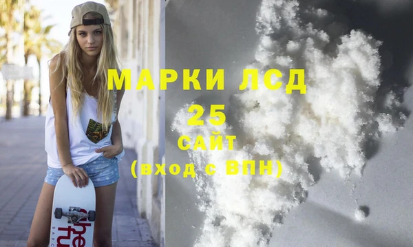 прущие грибы Наволоки