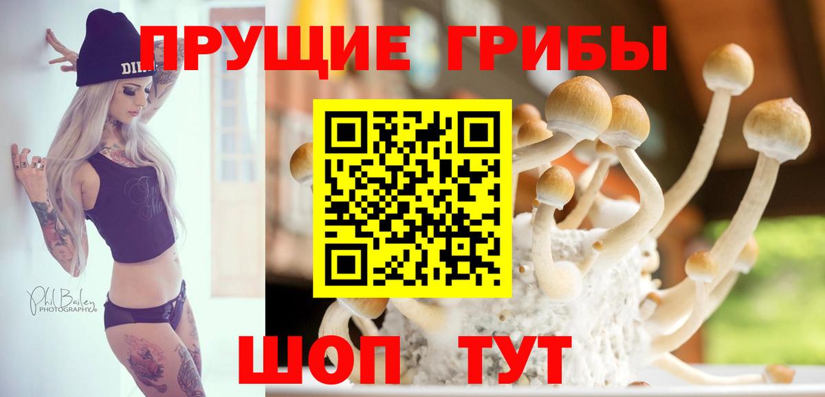 Галлюциногенные грибы ЛСД Людиново