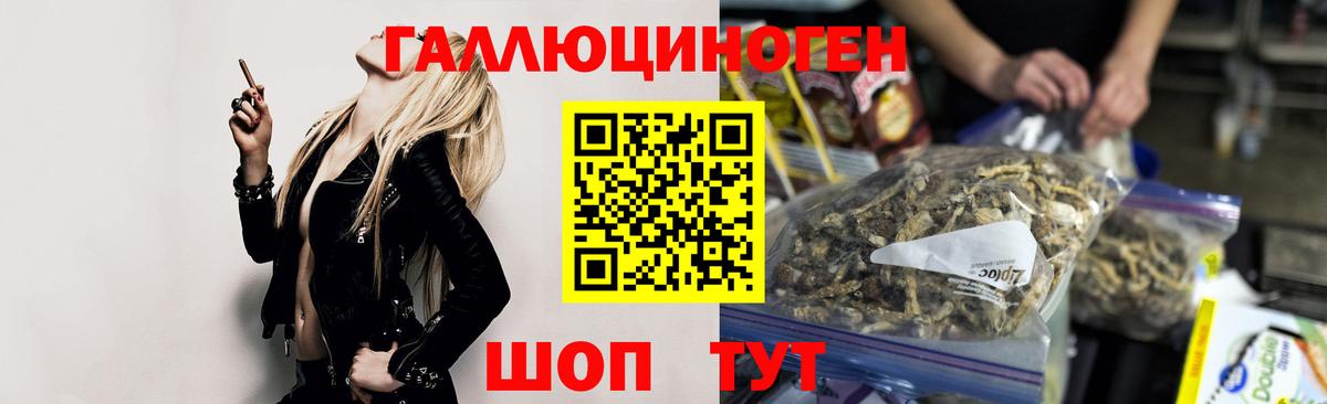 Галлюциногенные грибы прущие грибы  Галлюциногенные грибы мицелий  Людиново  Вход с VPN 