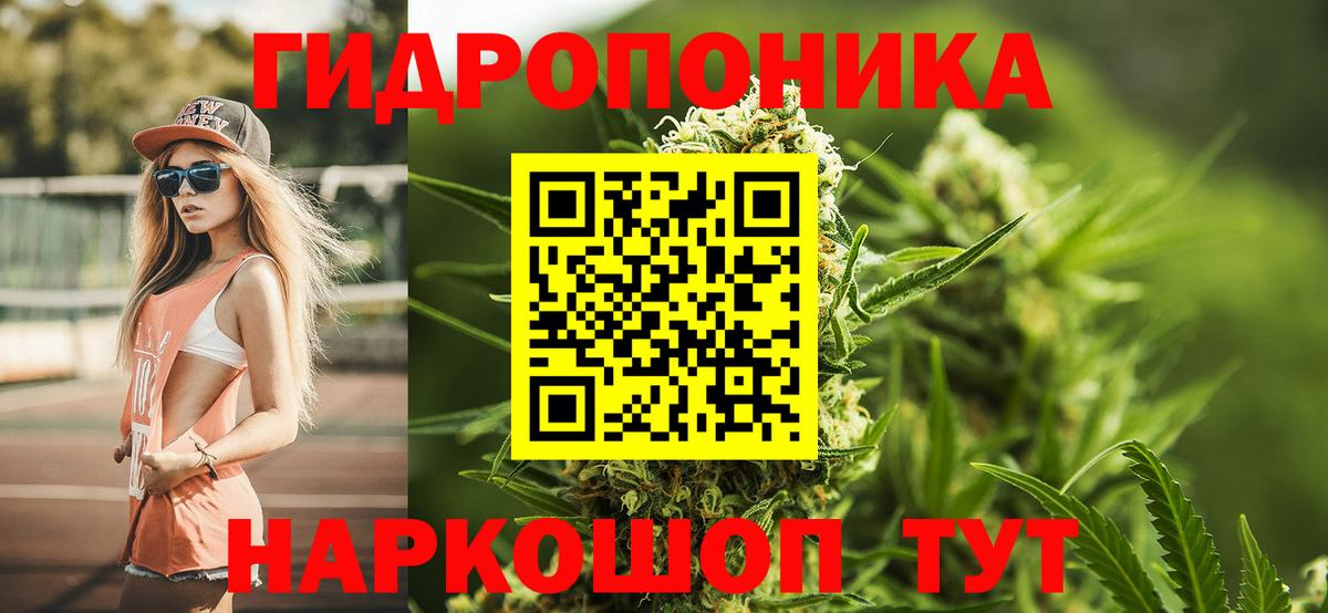 Бошки Шишки конопля  Бошки Шишки Ganja  Канабис конопля  Людиново  Вход с VPN 