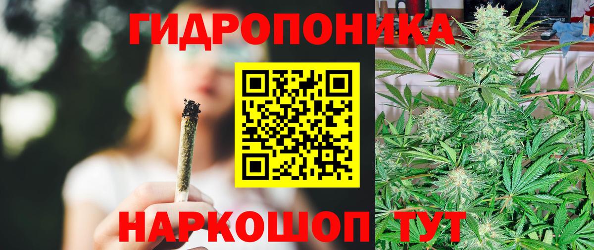 Бошки марихуана сатива Людиново